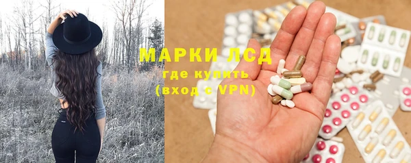 прущий лед Алзамай