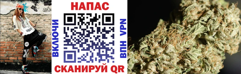 Бошки марихуана White Widow  хочу   Кологрив 